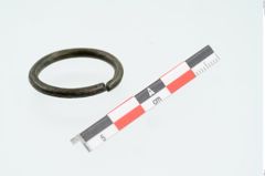 Foto von Bronzering (NHMW-PRAE-026239)